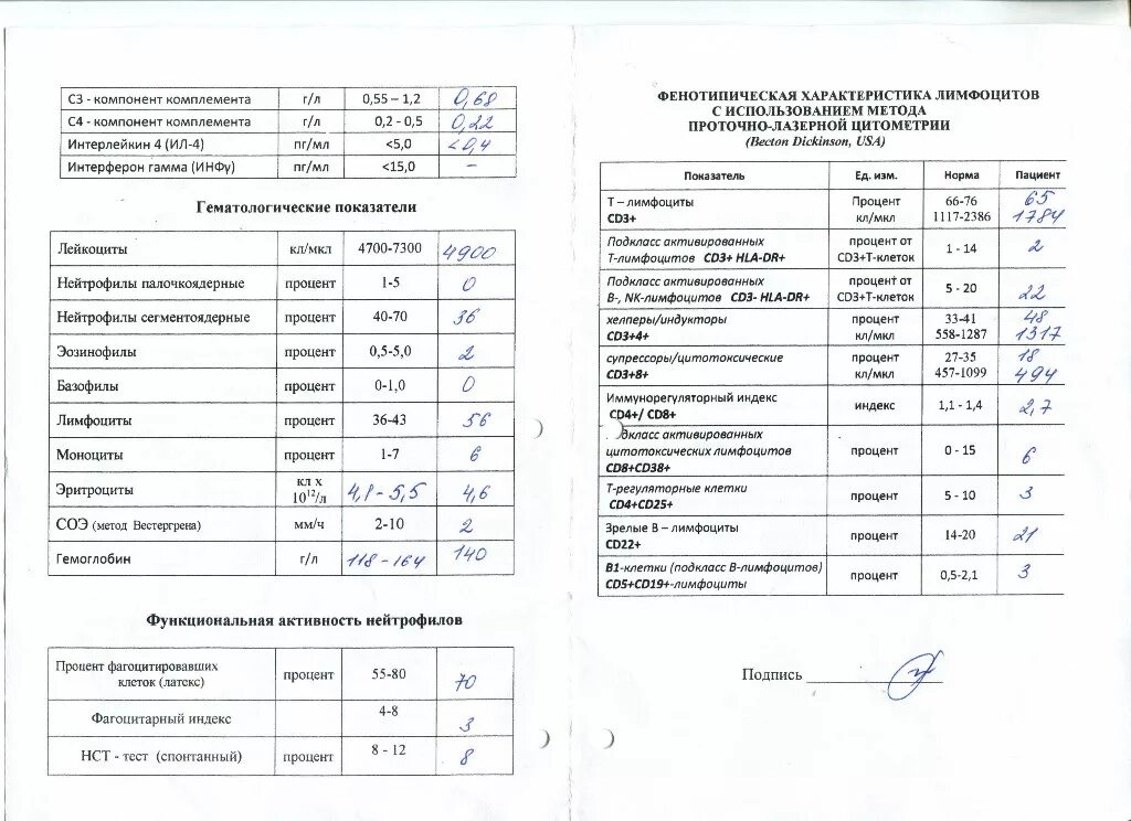 Относительное содержание лимфоцитов повышено