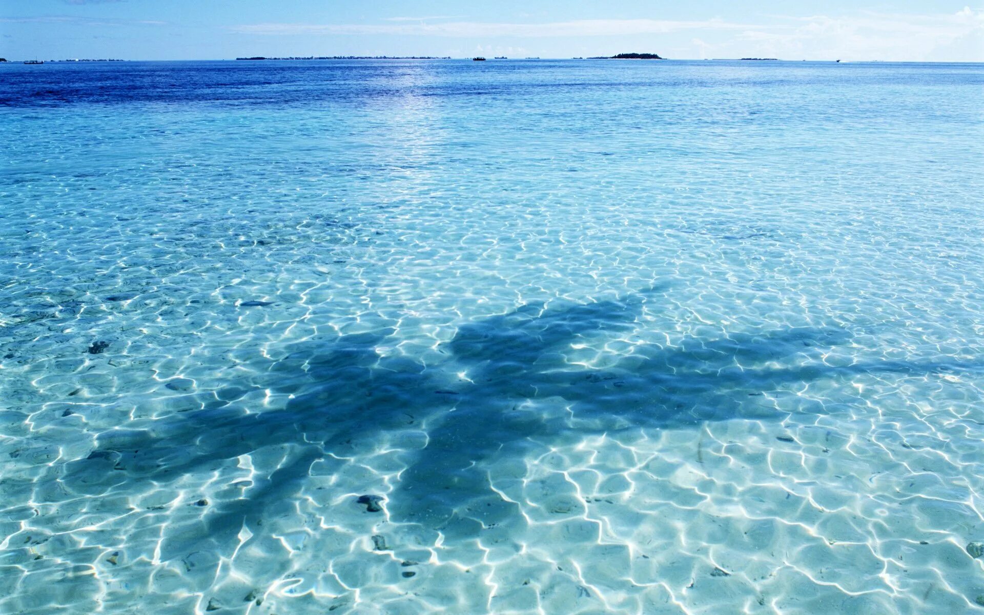 Морская вода запах. Лазурь черного моря. Прозрачное море. Голубое море. Море вода.