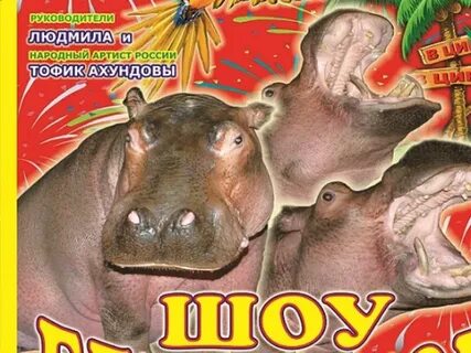 Цирк нижний тагил афиша