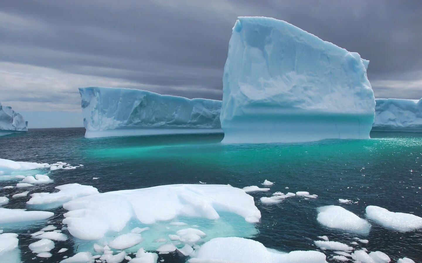 Арктика Северный Ледовитый океан. Северный полюс Северный Ледовитый океан. Ледовитый океан Айсберг. Дрейфующие льды в Северном Ледовитом океане.