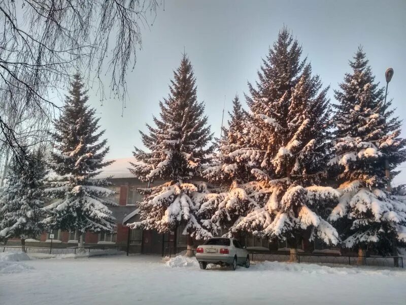 Село Мартыново Алтайский край Ельцовский район. Храм Ельцовка Ельцовский район. Село Ивановка Ельцовского района Алтайского края. Площадь Центральная в Ельцовке Ельцовского района Алтайского края. Прогноз погоды ельцовка алтайский край