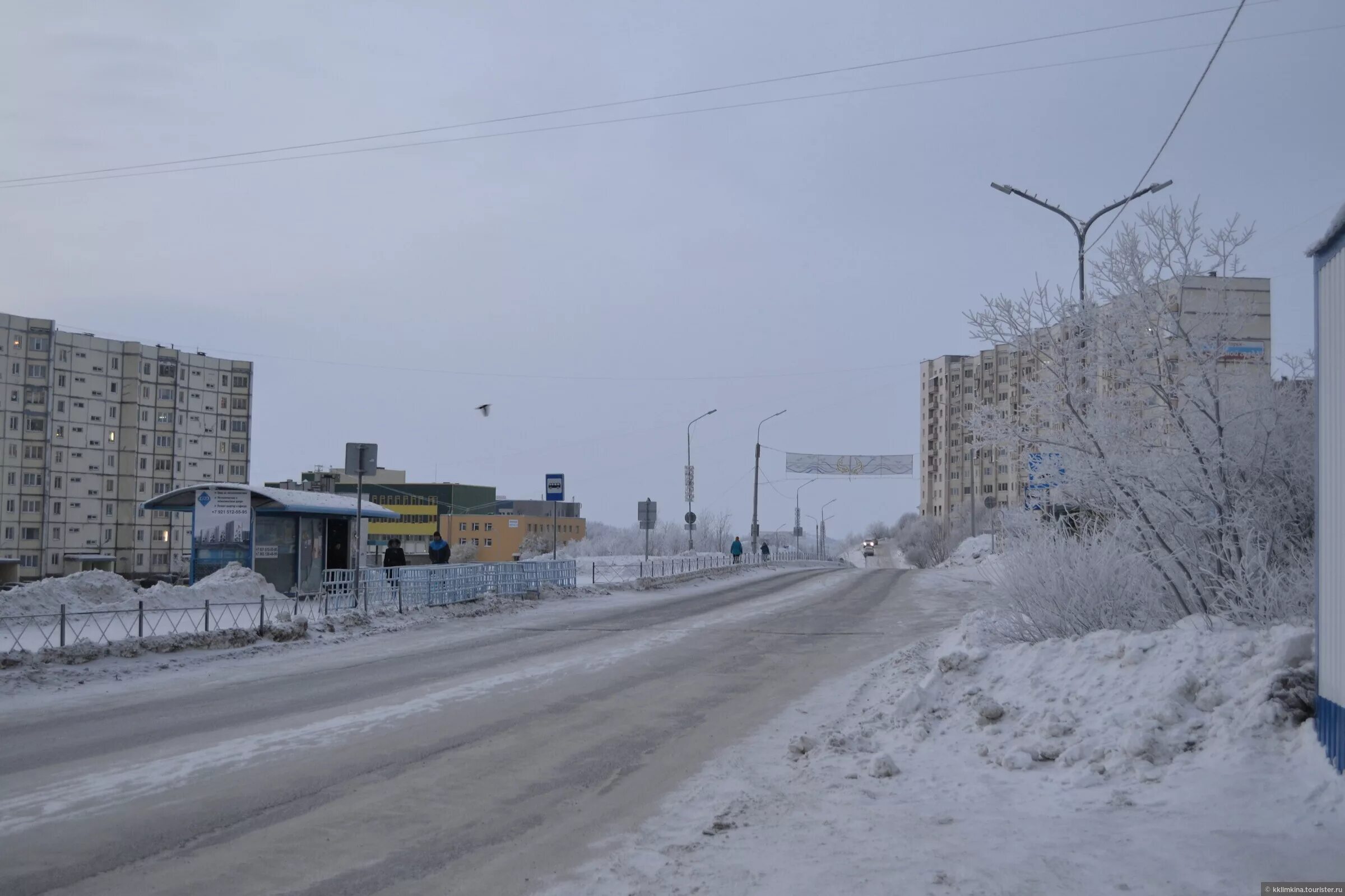 Норвежский погоды снежногорск. Город Снежногорск Мурманская область. Зима в Снежногорске Мурманской области. Зима в Снежногорске Мурманской. Снежногорск Мурманская область численность населения.