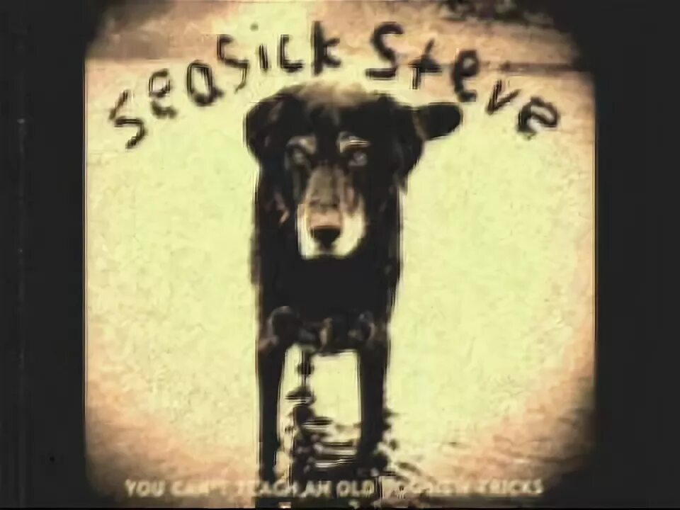 Old dog new tricks. Seasick Steve you can't teach an old Dog New Tricks. Seasick Steve cant teach. Teach an old Dog New Tricks. Back in the Doghouse Seasick Steve.