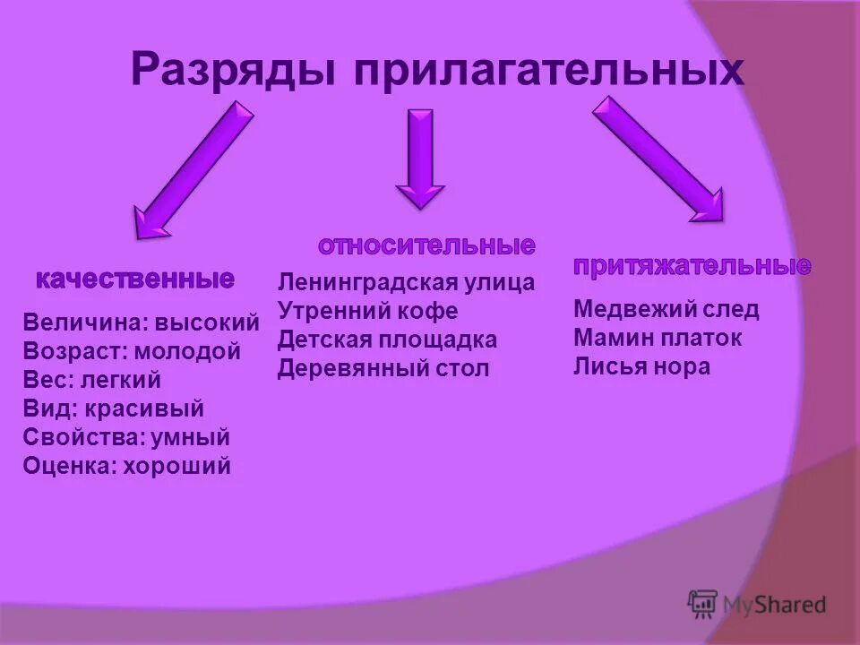 Глаза качественные относительные. Качественные относительные или притяжательные прилагательные. Качественное относительное притяжательное прилагательное. Притяжательные прилагательные и относительные прилагательные. Имена прилагательные качественные относительные притяжательные.