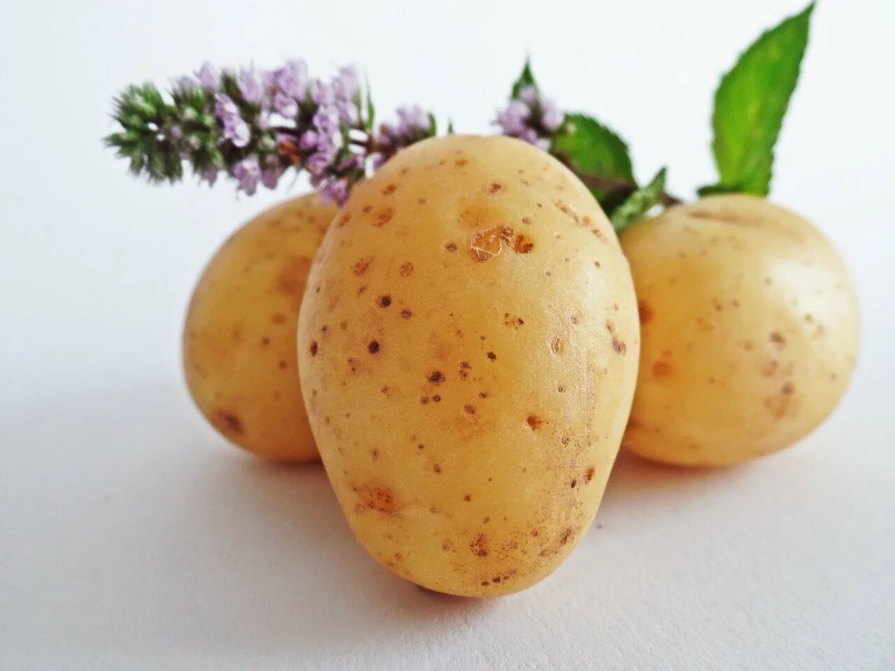 Photo potato