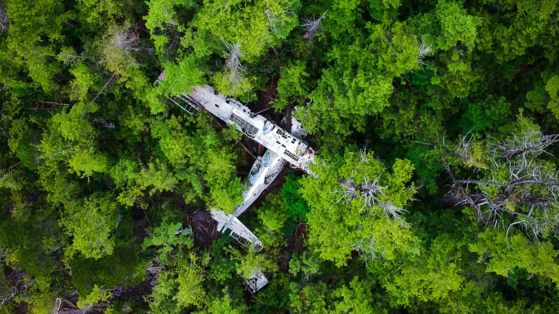 Broken plane
