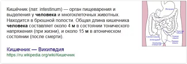 Сколько сантиметров кишка. Длина тонкого кишечника у взрослого человека составляет. Длина кишечника у взрослого человека составляет. Какая длина кишечника у человека. Длина кишки у взрослого человека 12 метров.