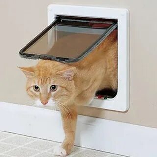Сделать дверь для кота