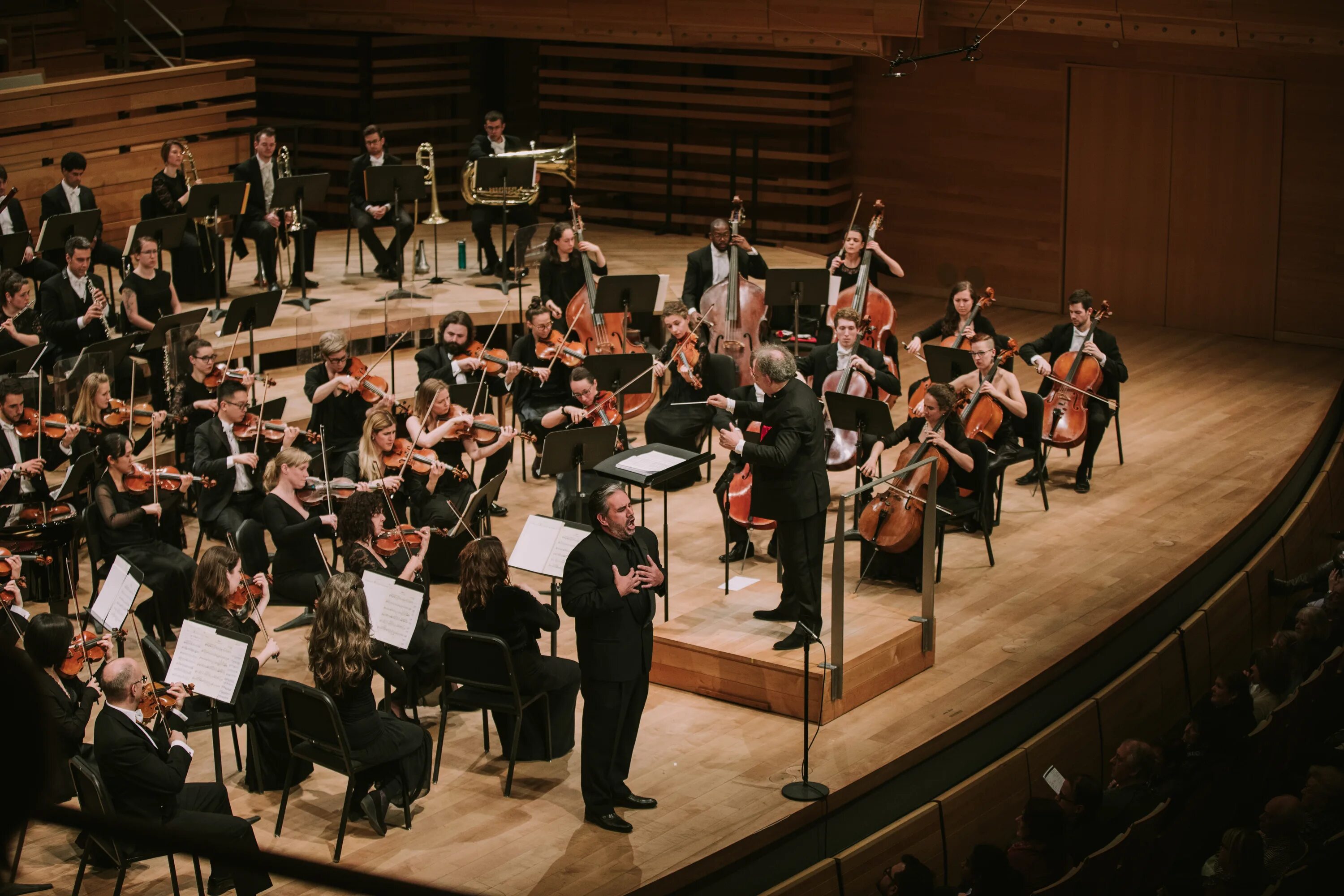 Mahler chamber orchestra. Камерный оркестр классика. Mahler's Orchestra. Piano Santal l'Orchestre.