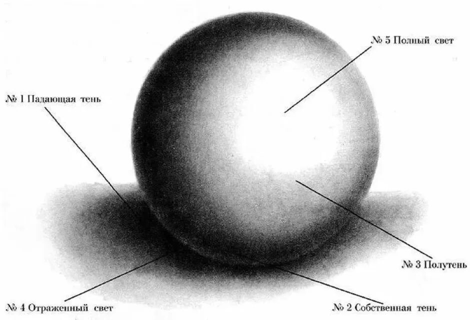 Света тень шара. Тень полутень рефлекс в рисунке. Свет и тень рисование. Светотень в рисунке. Элементы светотени в живописи.
