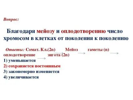 Благодаря оплодотворению и мейозу