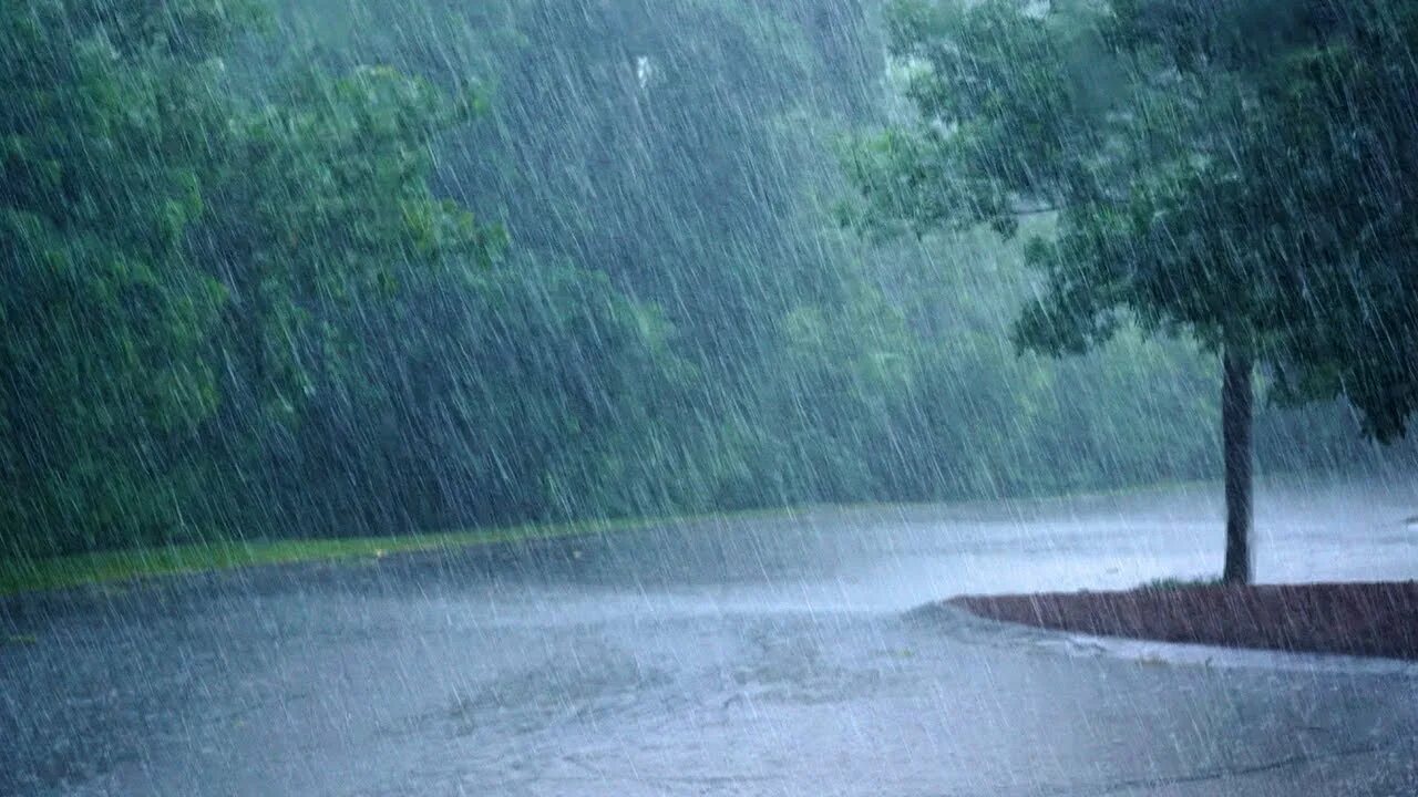 Raining tree