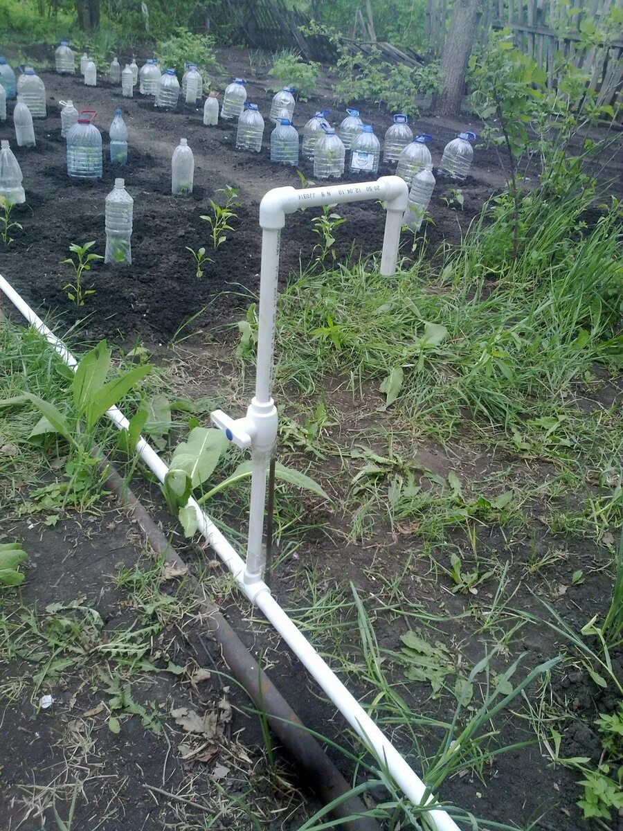 Огород водопровод. Водопровод на даче. Трубы для полива на даче. Полипропиленовые трубы для полива. Пластиковые трубы для полива на даче.