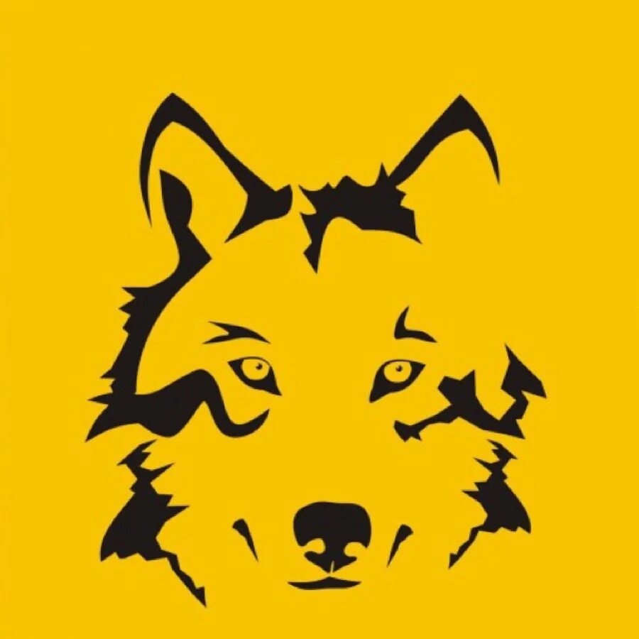 Yellow wolf. Желтый волк. Еллоу вольф. Картинка желтый волк. Yellow wolf.