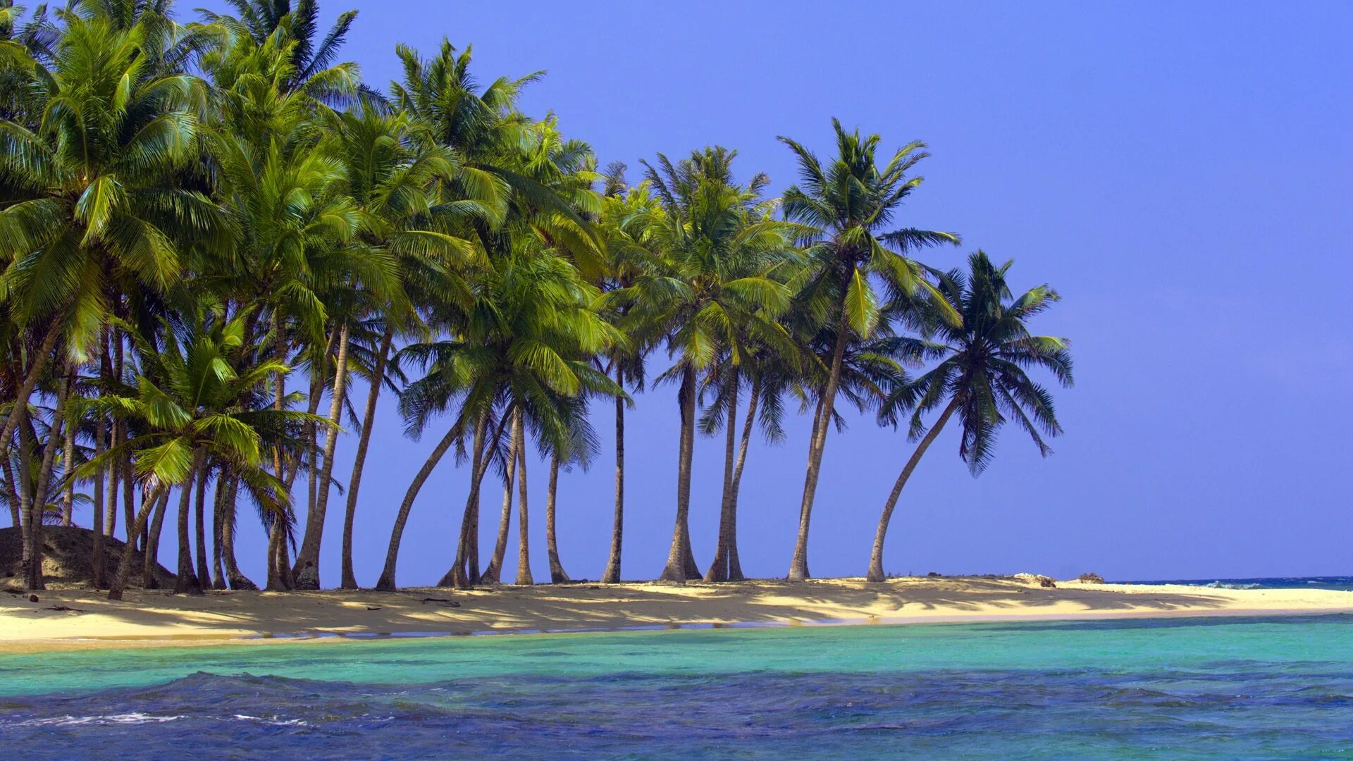 Парадиз остров Карибского моря. Кокосовый Оазис Майами. Тропикал Палмс Гоа. Тропический пляж. Обои рабочий стол 1920х1080 море