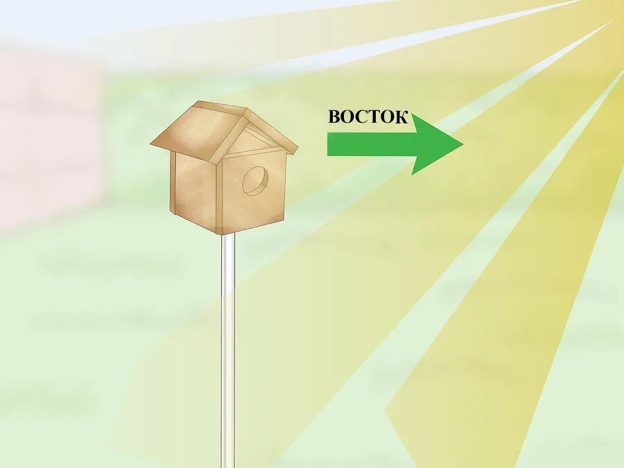 Прибить скворечник к дереву. Крепеж скворечника к дереву. На что прикрепить скворечник к дереву. Направление скворечника по сторонам света. Правильные размеры скворечника чертеж для скворцов.