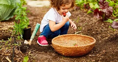 Playing with vegetables