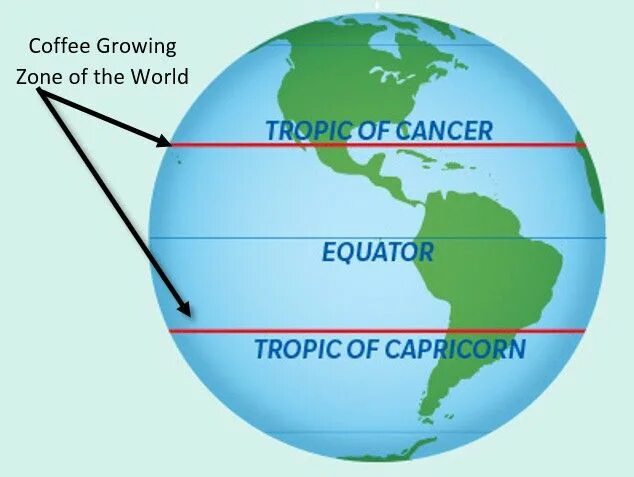 Дальше от экватора расположена зона. Египет Экватор. Экватор тропики. Карта Tropic Capricorn. Tropic of Cancer.