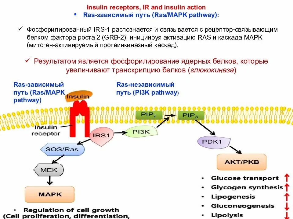 Перечислите методы импульсной модуляции аналогового сигнала. Детектирование физика 11 класс схема. Способы передачи сигнала. Способы передачи электрических сигналов. Принципы радиосвязи модуляция и детектирование.