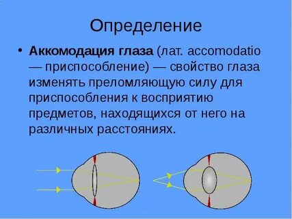 Способность глаза приспосабливаться к восприятию света