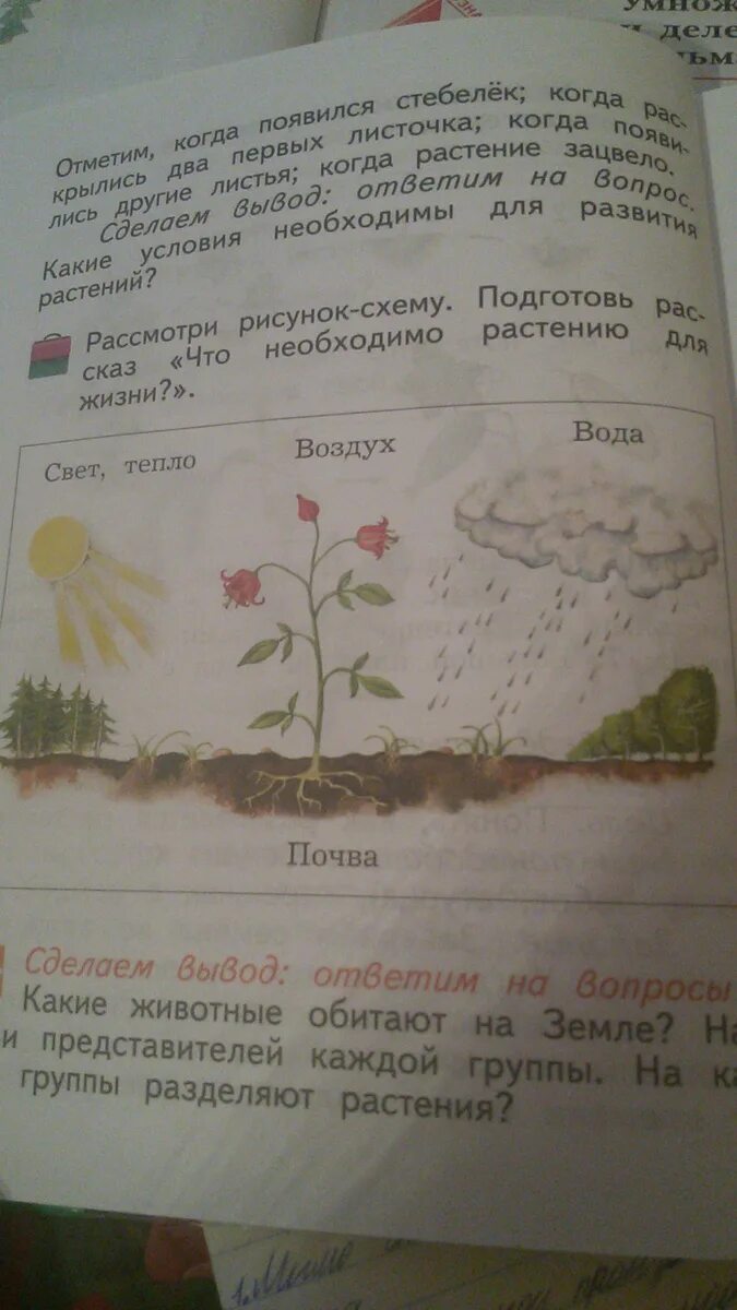 Рассказ что необходимо растению для жизни. Рассказ что необходимо растению для жизни 2 класс. Подготовь рассказ что необходимо растению для жизни. Рассказ по рисунку схеме что нужно растениям для жизни. Рассмотри рисунки на странице 23 24 подумай