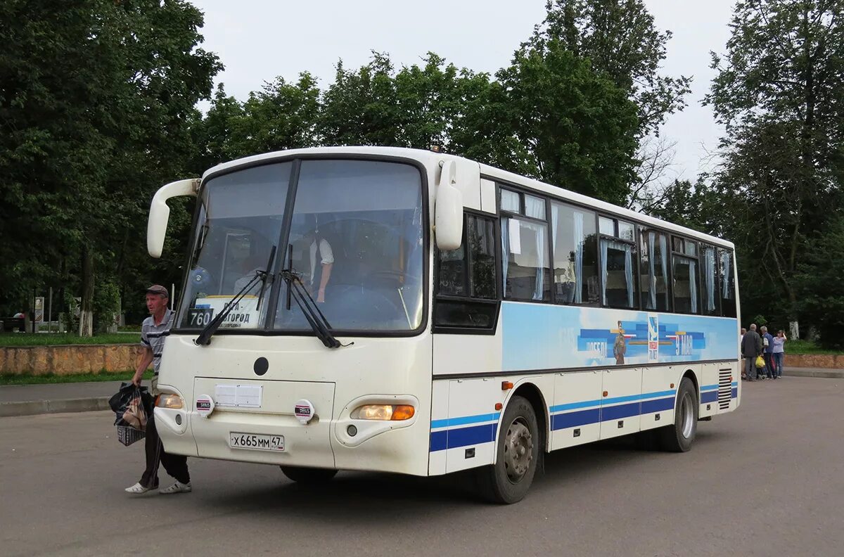 Автовокзал луга. Автобус Луга. Автобус 760. Автобус Луга Новгород.