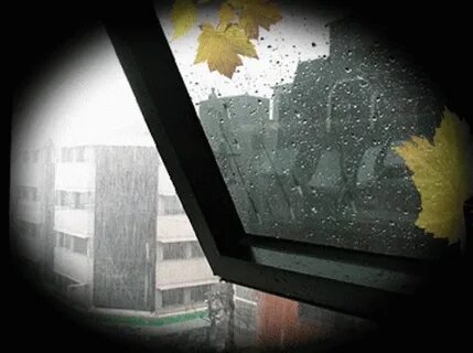 Монотонный дождь стучал в окно