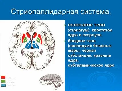 Замкнутое ядро