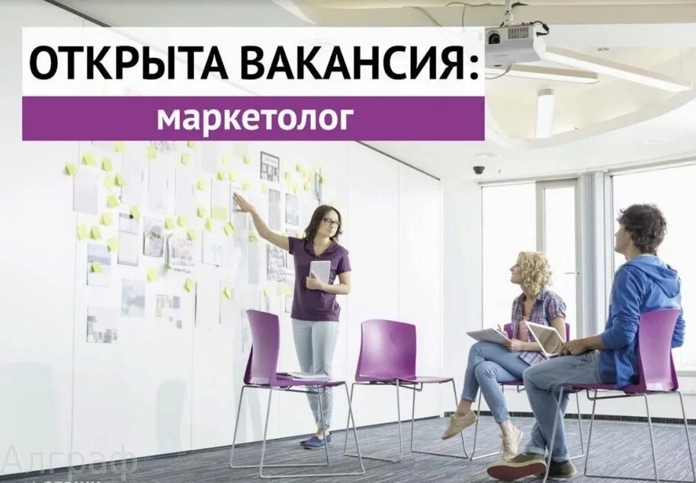 Специалист в области маркетинга. Вакансия маркетолог. Ищем маркетолога. Ищем интернет маркетолога. Маркетолог объявление.