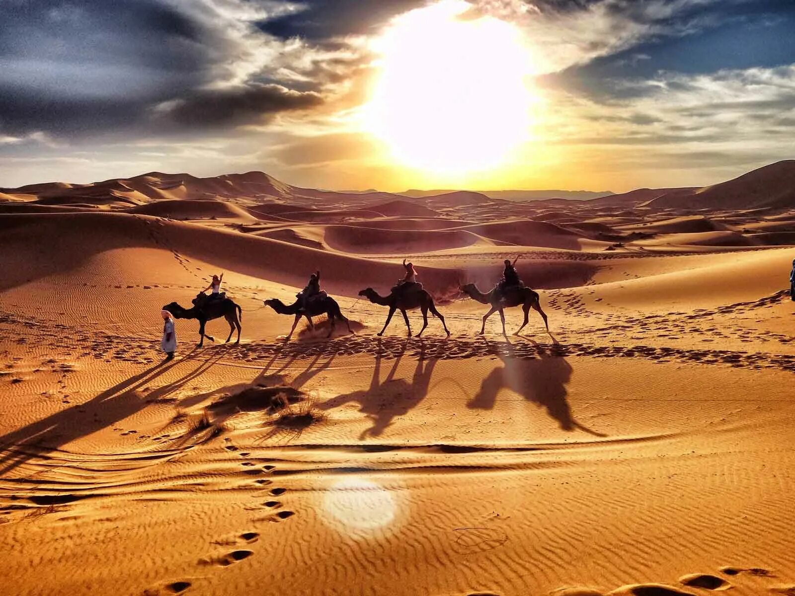 Country tours. Merzouga Марокко. Марокко.сахара.Мерзуга.. Марокко пустыня сахара. Караван марокканских верблюдов дромедаров.