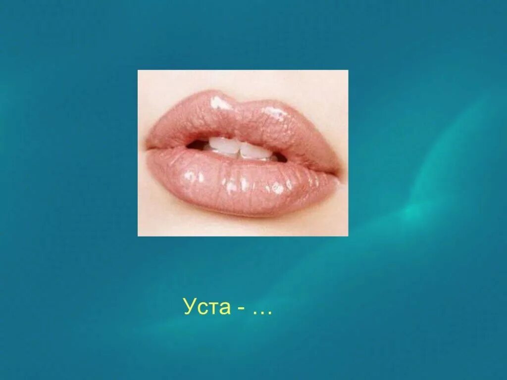 Уста цвета. Уста губы. уста рот губы. уста картинка. уста это рот или губы.