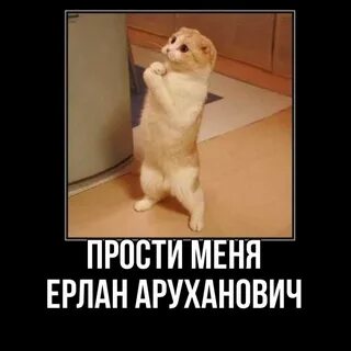 Бывший просит прощения зачем