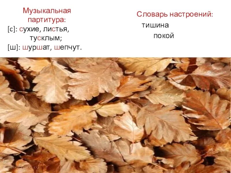 Брюсов сухие листья стихотворение 2 класс. Стих сухие листья. сухие листья чтение 2 класс. сухие листья 2 класс. сухие листья стихотворение 2 класс.