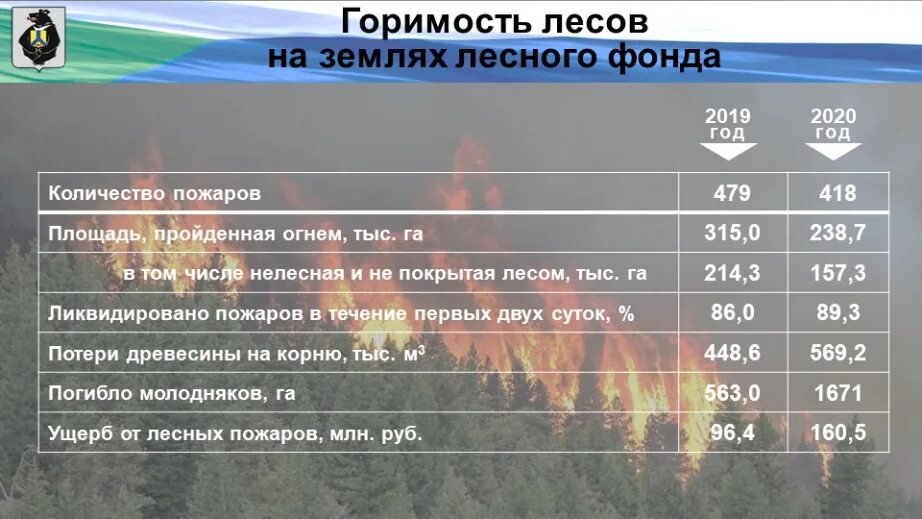 Защита населенных пунктов природных пожаров. Лесные пожары в Хабаровском крае. Природные пожары в России в 2017. Классификация природных пожаров. Перечень населенных пунктов подверженных природным пожарам