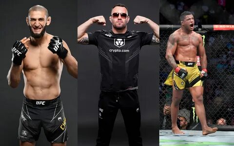Чемпионы ufc 2023