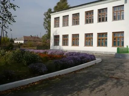 Далее школа