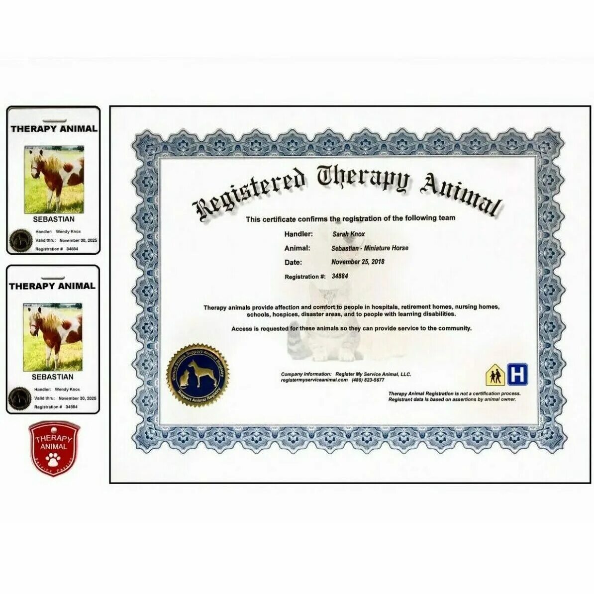 Регистрация pet. Animal ID сертификат. Pet Therapy International. Service animal. Physiotherapy for Pets.