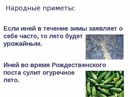 Народные приметы на 26 октября