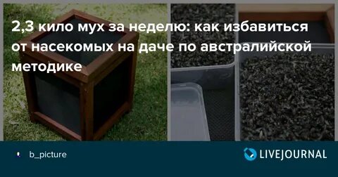 Как избавиться от мух на веранде открытой