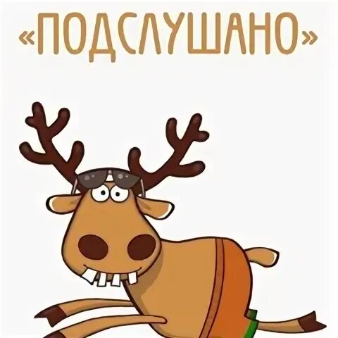 Подслушано курганская область