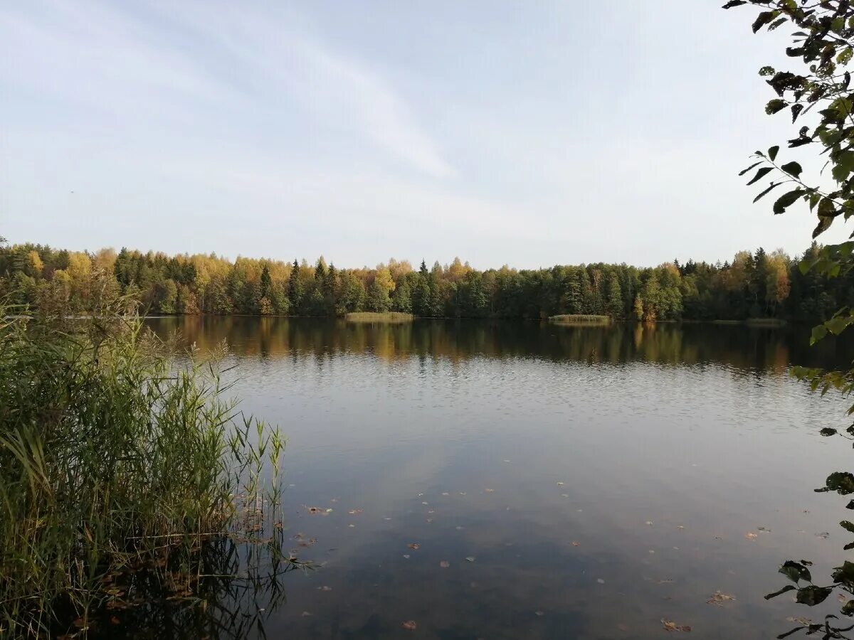 Озера ивановского района. Озеро Западное Ивановская область Южский район. Ламенское озеро Южский район. Озеро Заборье Ивановская. Святое озеро Ивановская область Южский.