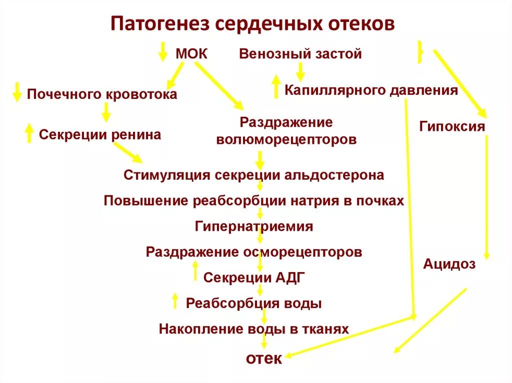 Основной фактор в патогенезе воспалительного отека. Механизм развития сердечных отеков. факторы возникновения сердечных отеков. схема патогенеза сердечных отеков. патогенез сердечных отеков патофизиология.