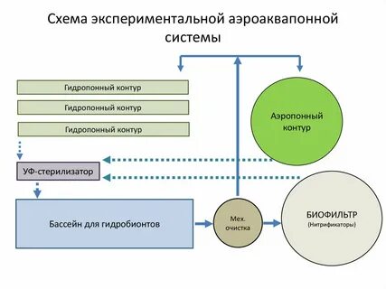 Проверка посредством