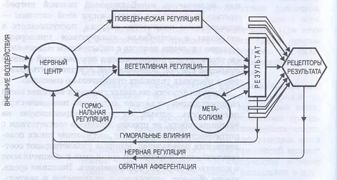 Система обеспечивающая совместное