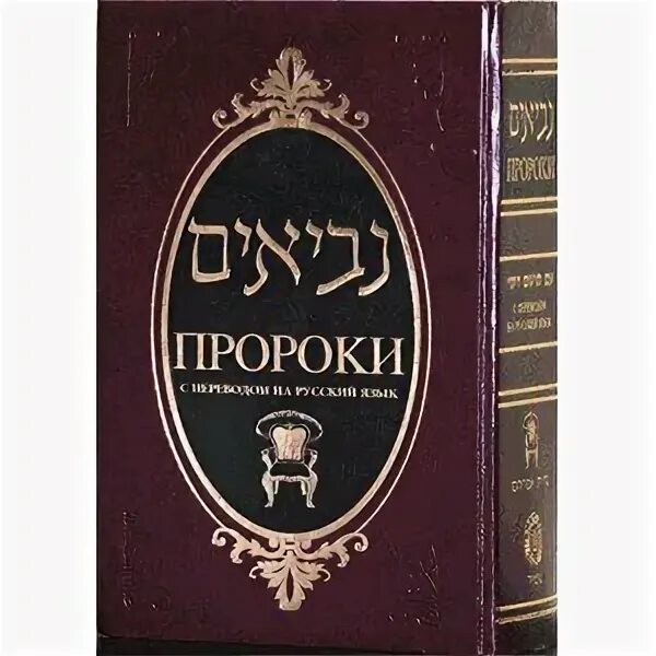 Ветхий завет книга. Книга история пророков саид афанди. Ибн касир жизнеописание пророка. История пророков книга ибн касир. Невиим иудаизм.