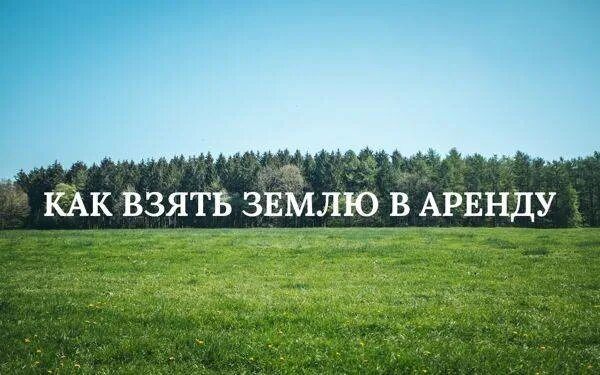 Как оформить землю в аренду. Взять в аренду землю. взять землю в аренду у государства. как взять землю в аренду. как взять землю в долгосрочную аренду.