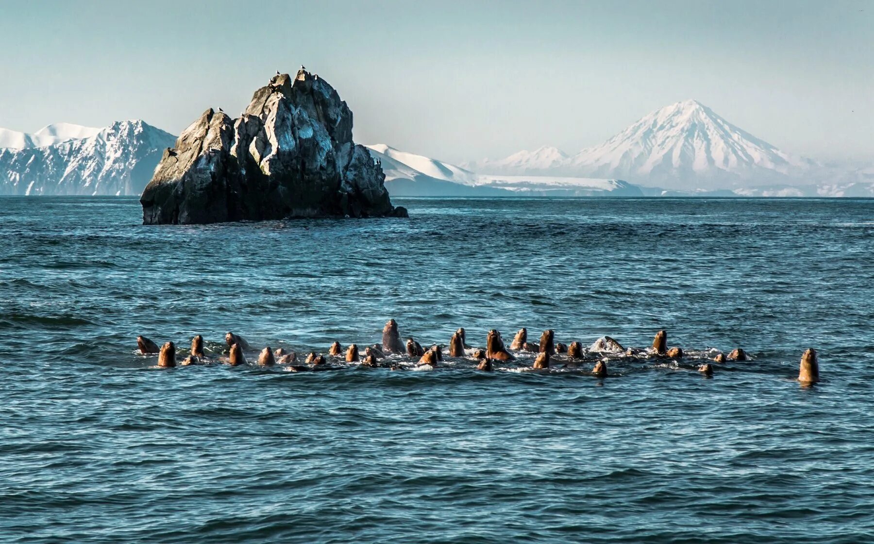 Кетов камчатка. Мыс кекурный камчатка. авачинская бухта сивучи. мыс авачинский. мыс старичков камчатка.