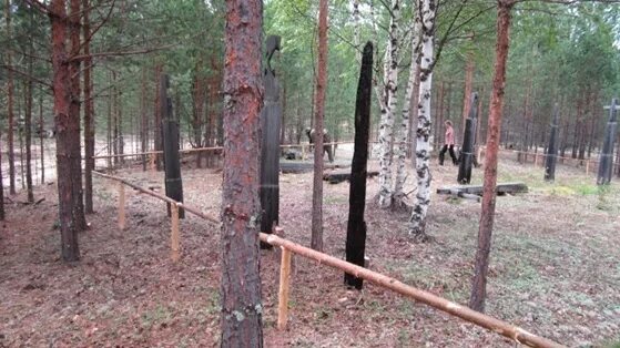 Погода в батурино асиновский. Тунгусский бор кладбище. тунгусский бор асиновского района. батурино кладбище. ссыльные литовцы кладбище.