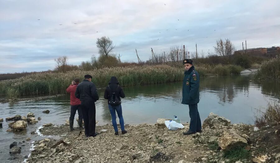 "Экологическая защита" выясняет причину гибели рыбы в Шатском водохранилище