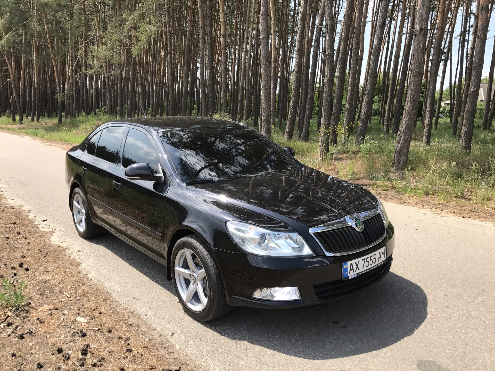 Купить октавию 2013. Skoda Octavia 2013 1.8.